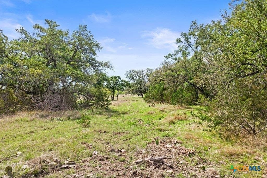 10.03 acres in Burnet County - photo 21