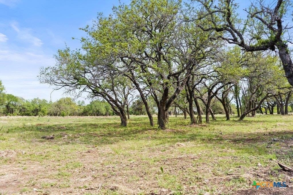 10.03 acres in Burnet County featured view