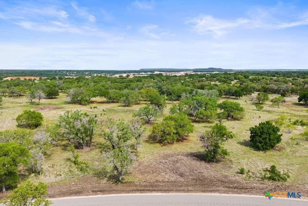 10.03 acres in Burnet County - photo 27