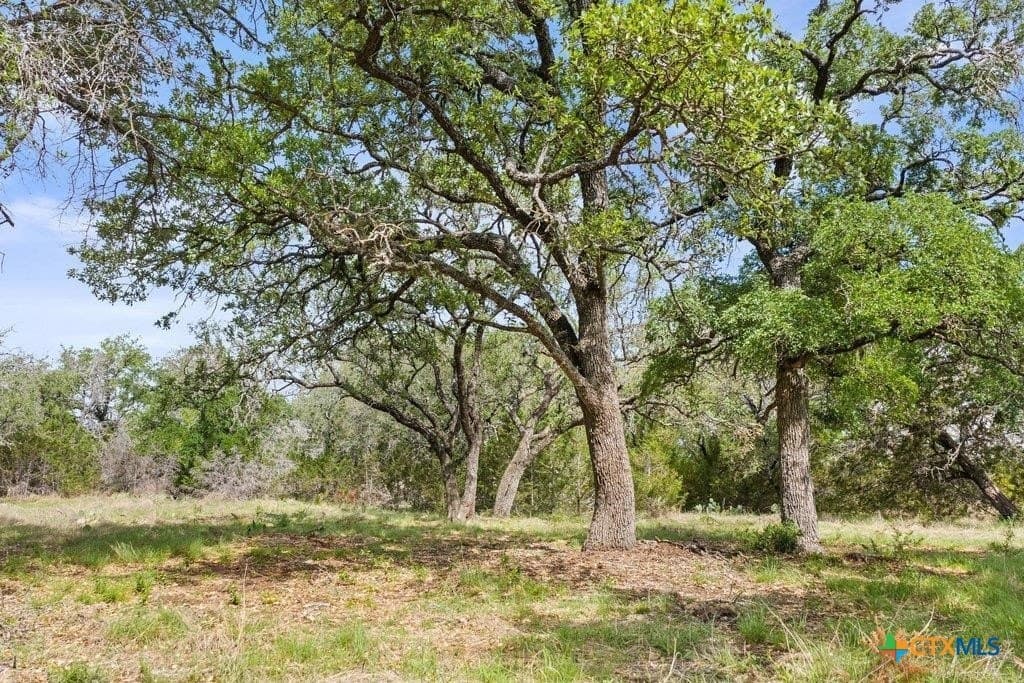 10.03 acres in Burnet County - photo 16