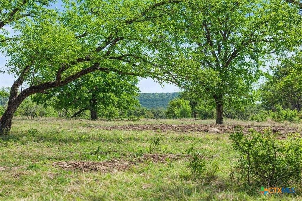 10.03 acres in Burnet County gallery image 2