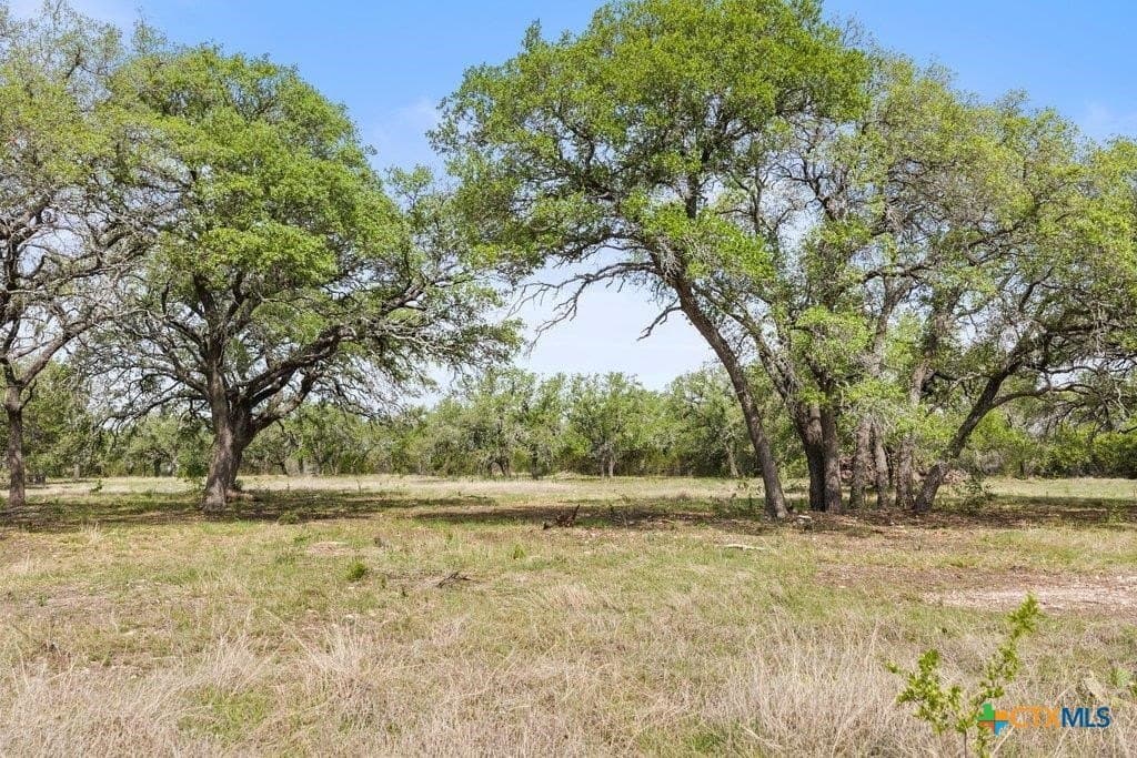 10.03 acres in Burnet County - photo 8