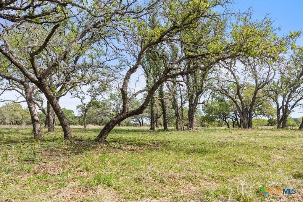 10.03 acres in Burnet County - photo 10