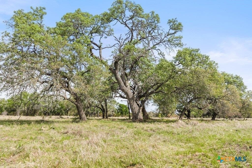 10.03 acres in Burnet County - photo 13