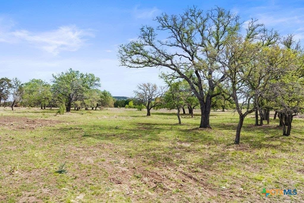 10.03 acres in Burnet County - photo 6