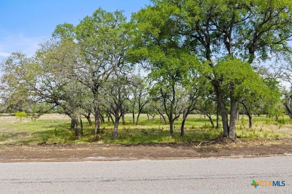 10.03 acres in Burnet County - photo 28
