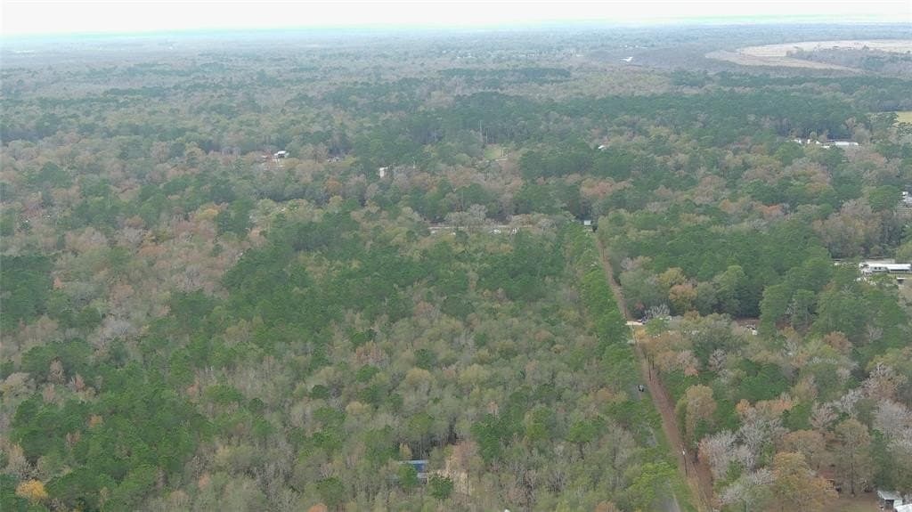 2.5 acres in Liberty County