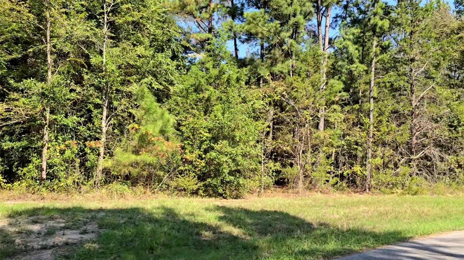 0.23 acres in Wood County - photo 16