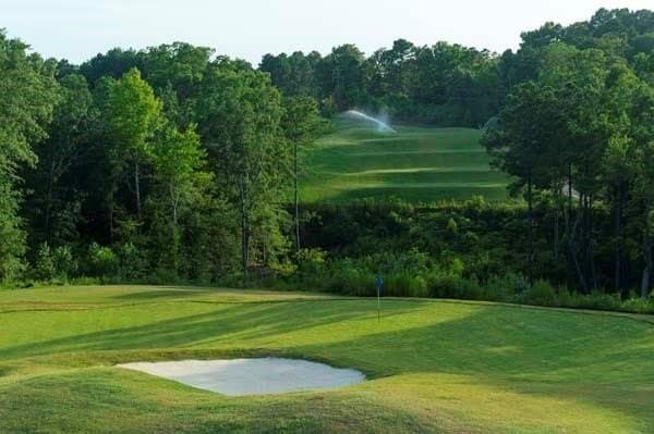 0.62 acres in Gregg County gallery image 4