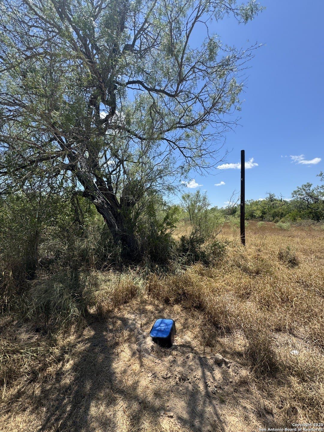 0.32 acres in Atascosa County gallery image 2