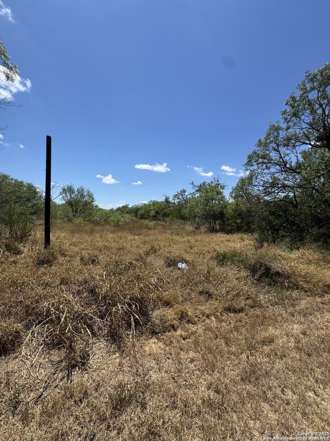 0.32 acres in Atascosa County gallery image 4