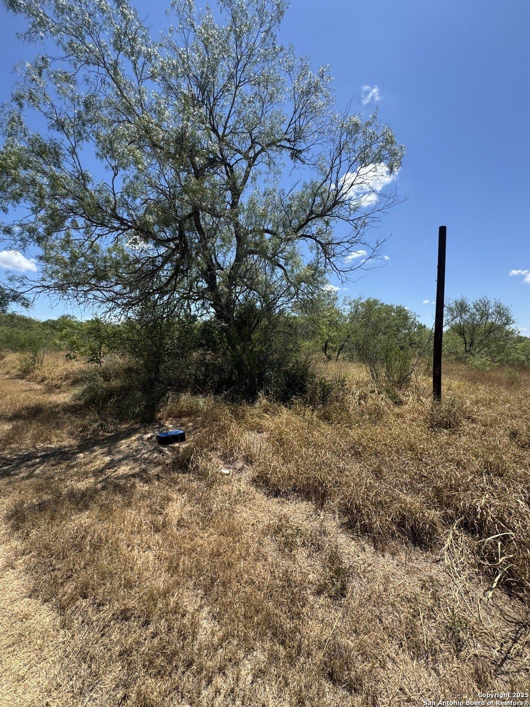 0.32 acres in Atascosa County gallery image 3