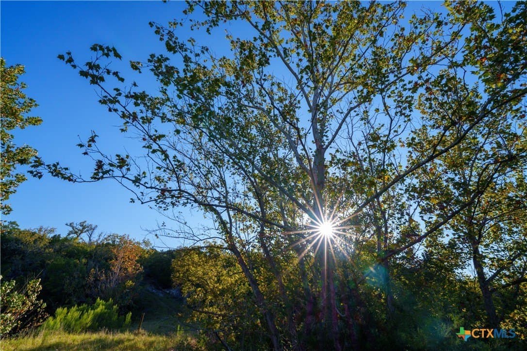 53.94 acres in Kendall County gallery image 3