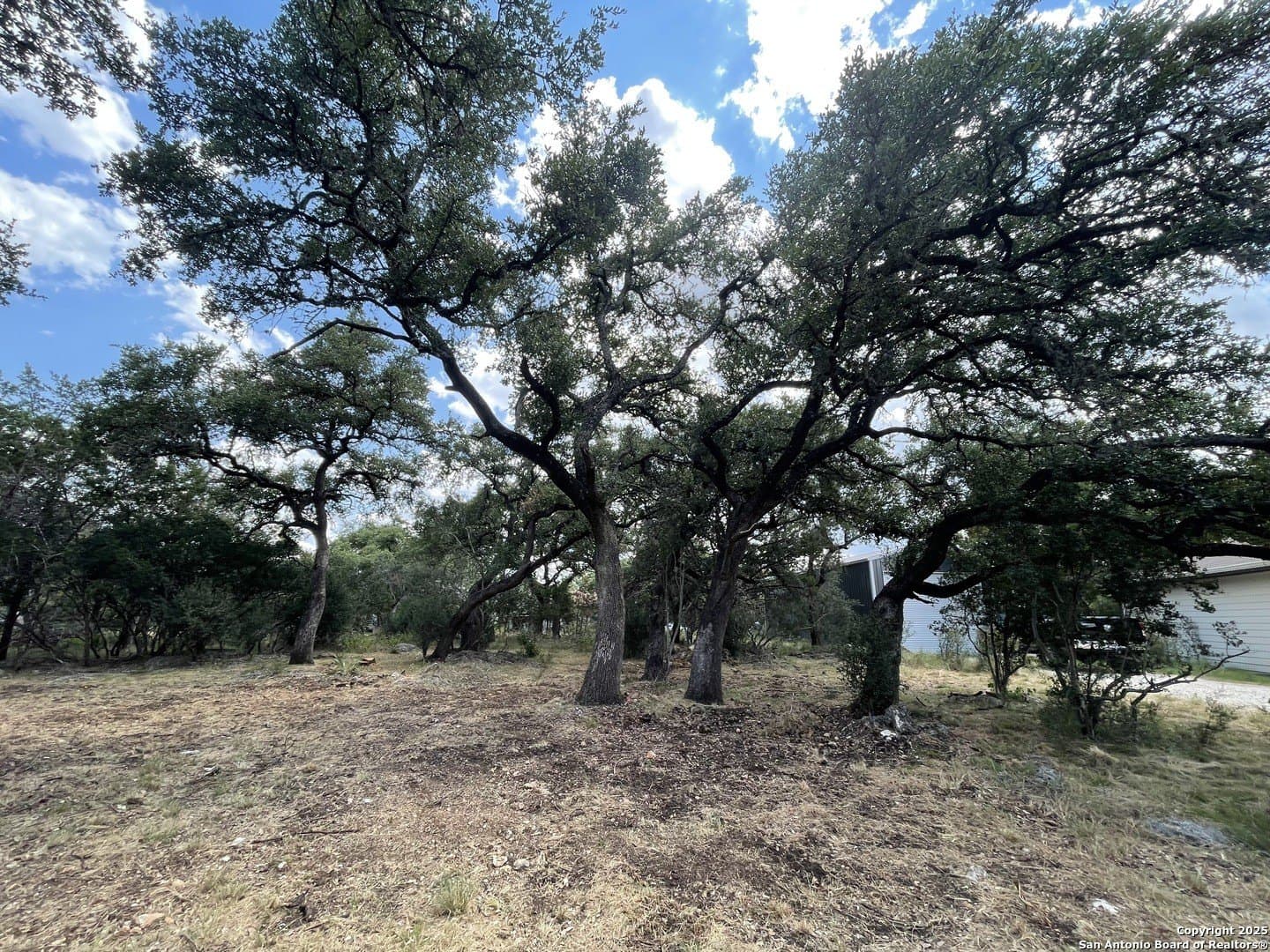 0.37 acres in Comal County - photo 6