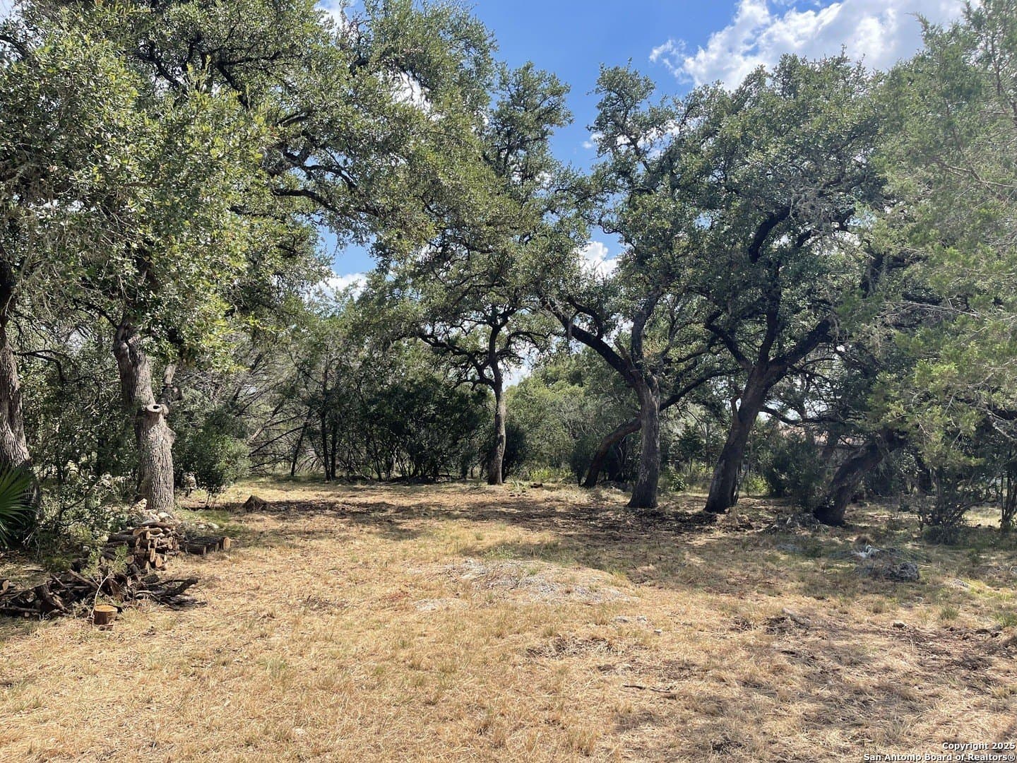 0.37 acres in Comal County gallery image 2