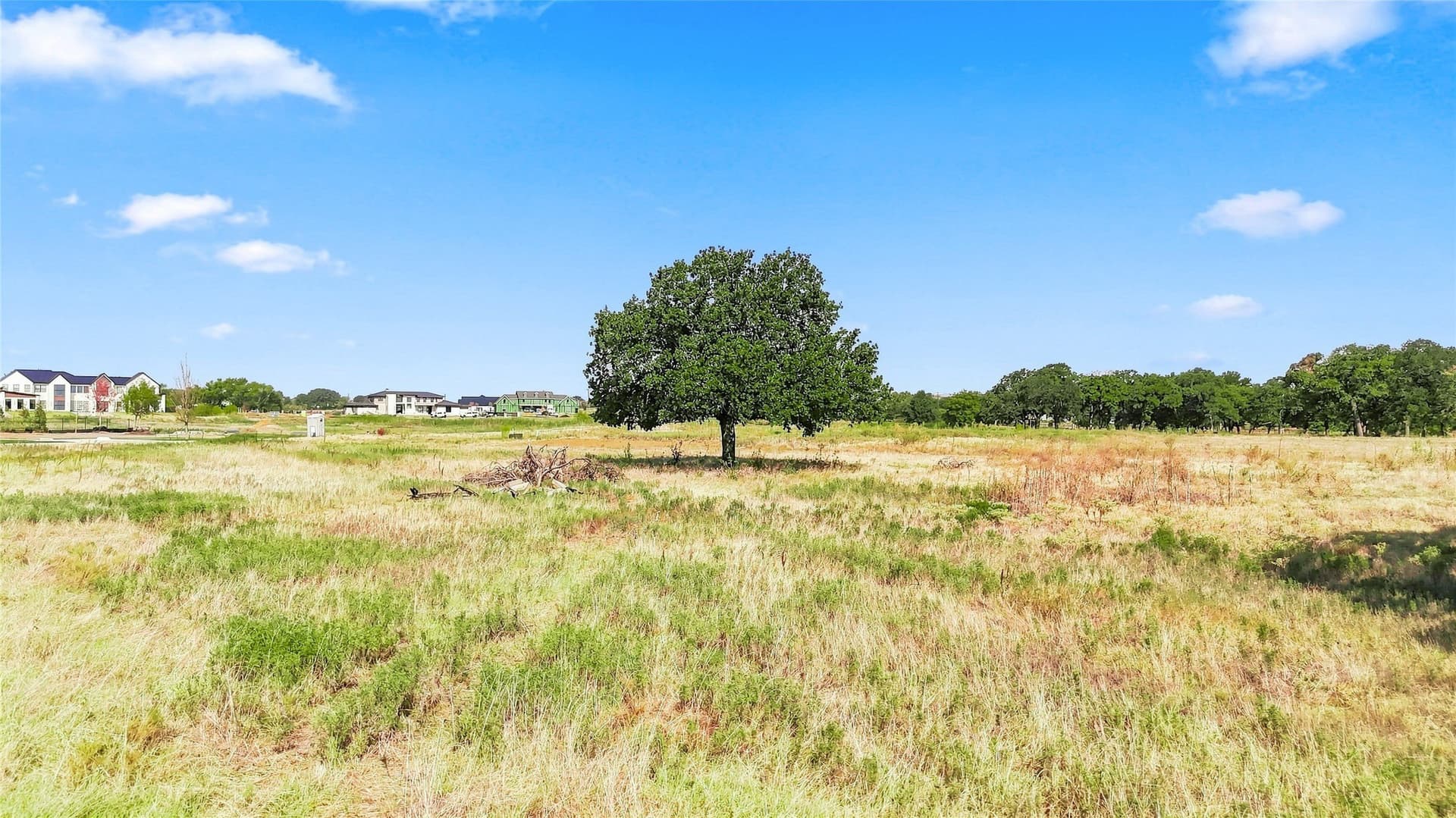 2 acres in Denton County - photo 10