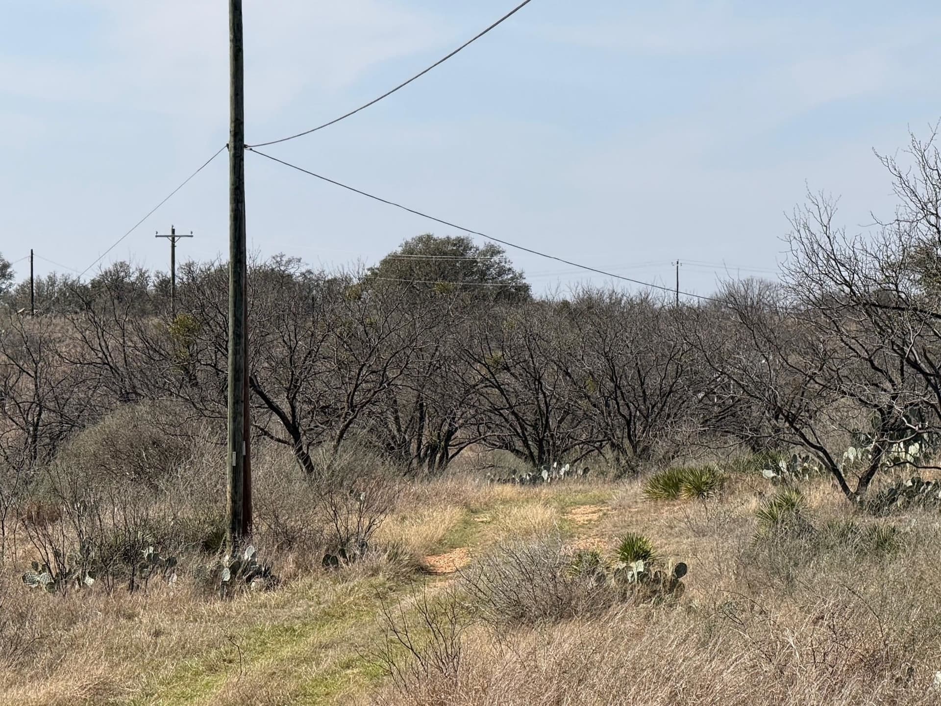 10.19 acres in Llano County - photo 12