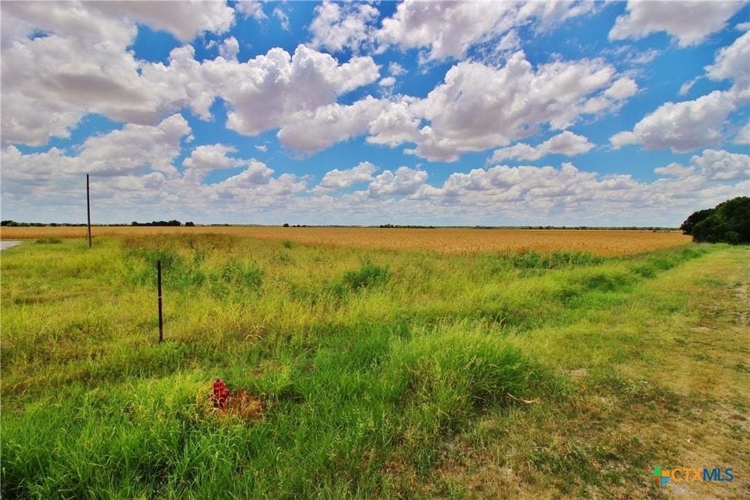 9.92 acres in Williamson County gallery image 2