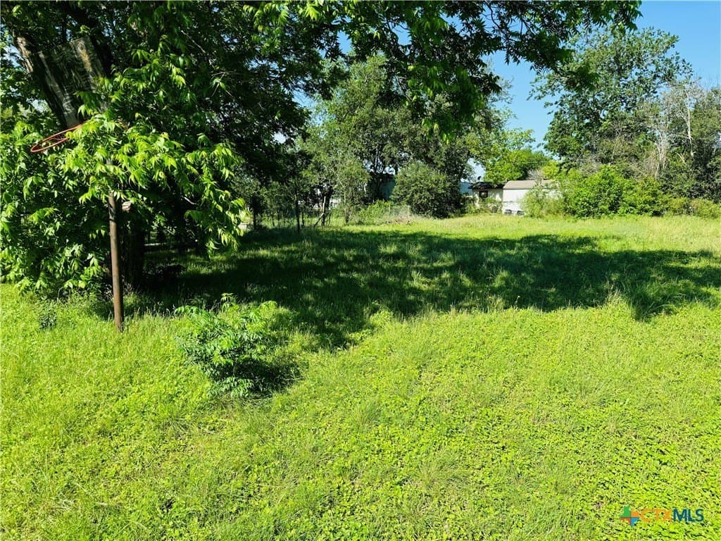 0.21 acres in Guadalupe County gallery image 3