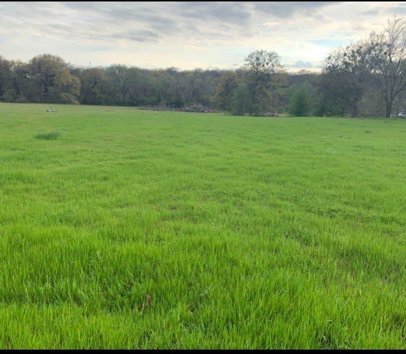 16 acres in Denton County - photo 17
