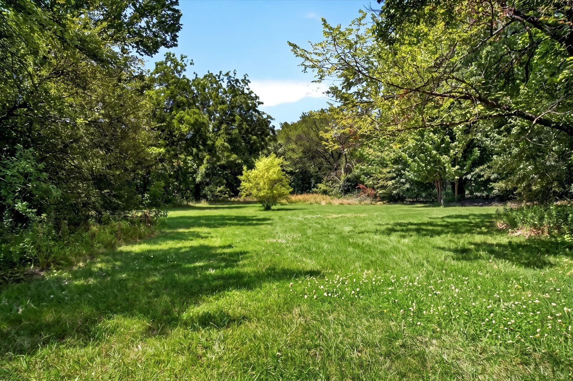 16 acres in Denton County - photo 9