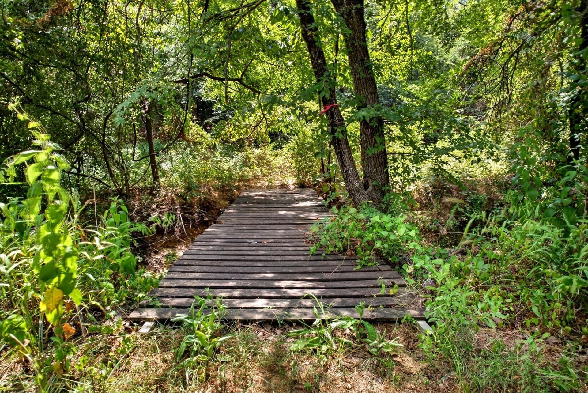 16 acres in Denton County - photo 10