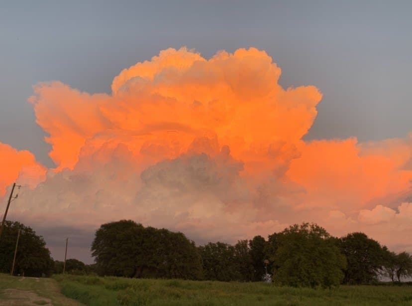 16 acres in Denton County - photo 19