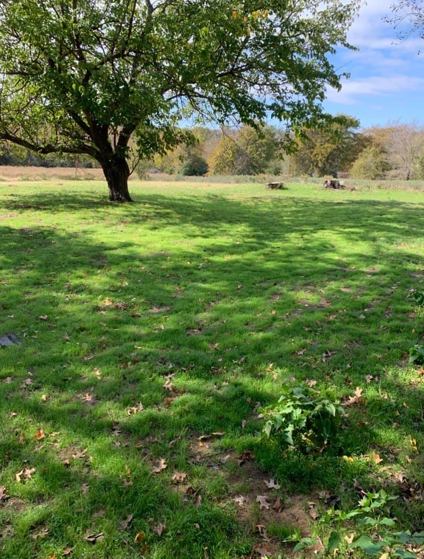 16 acres in Denton County - photo 20