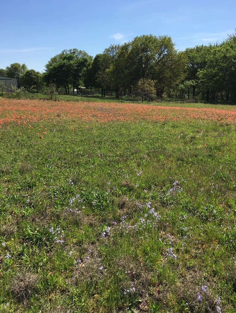 16 acres in Denton County - photo 22