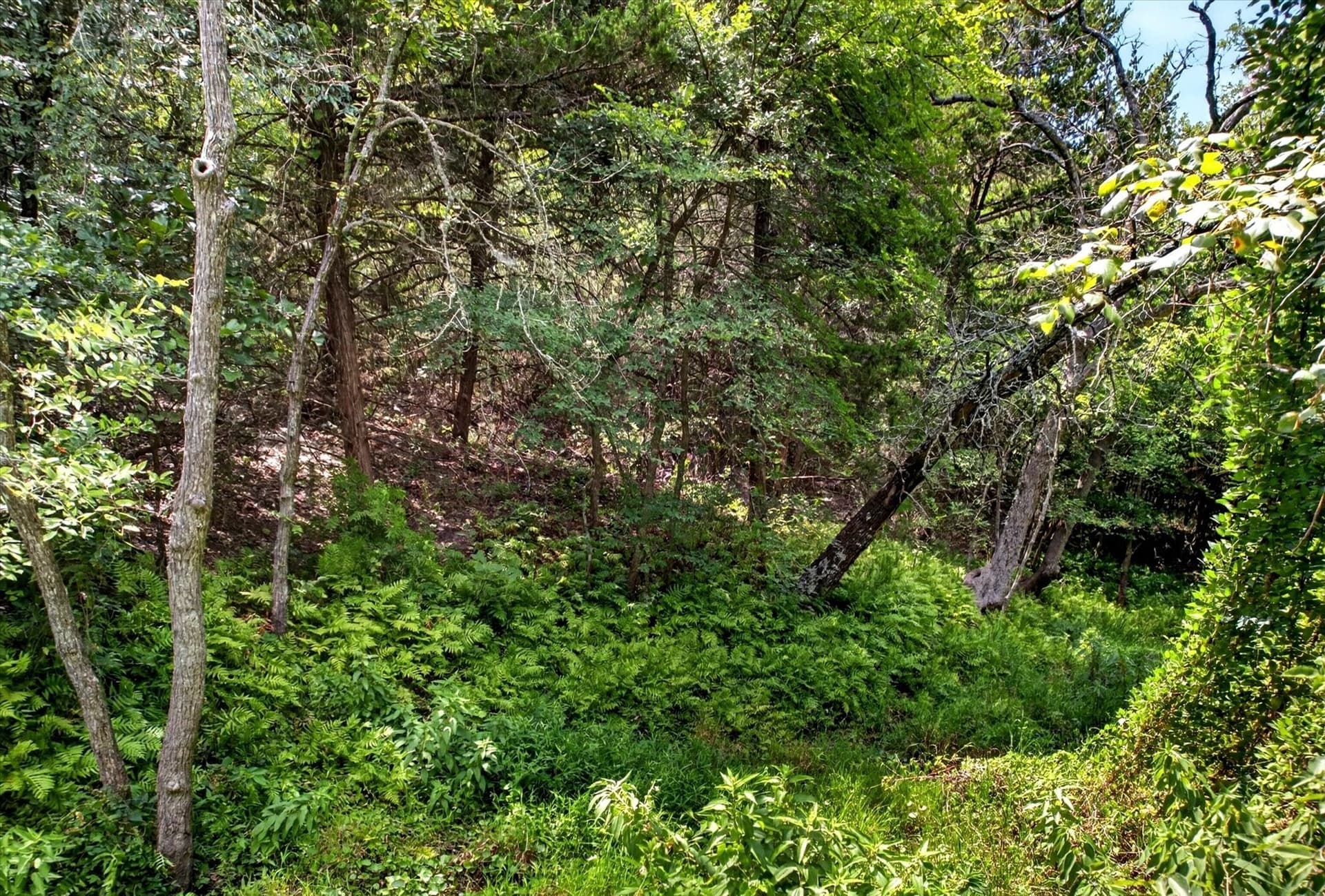 16 acres in Denton County - photo 12