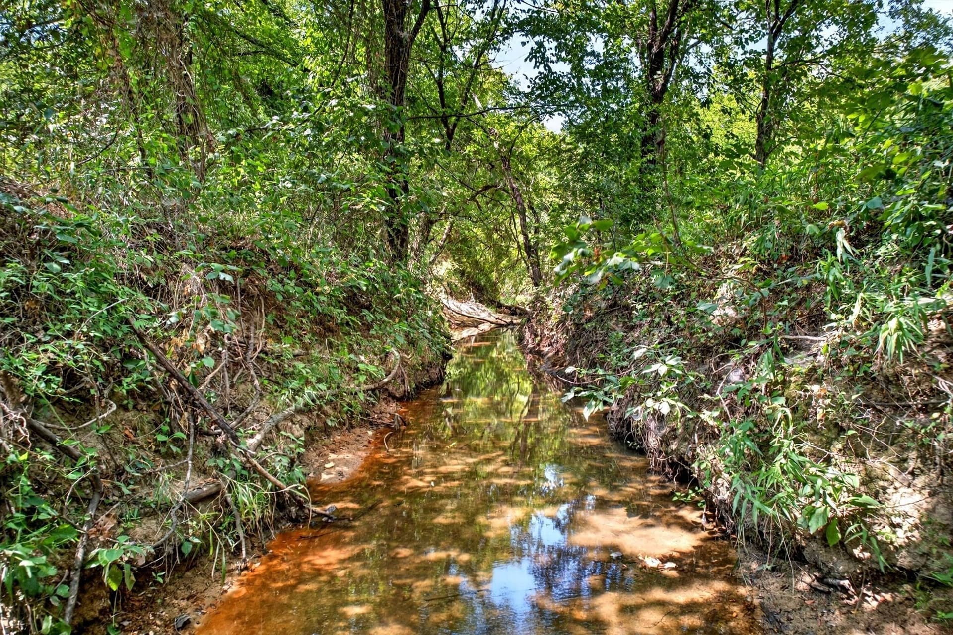 16 acres in Denton County - photo 11