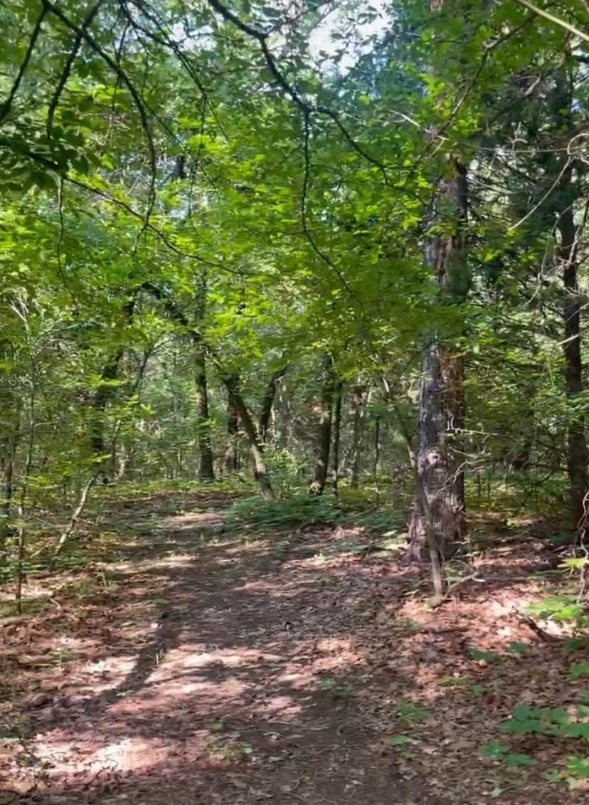 16 acres in Denton County - photo 21