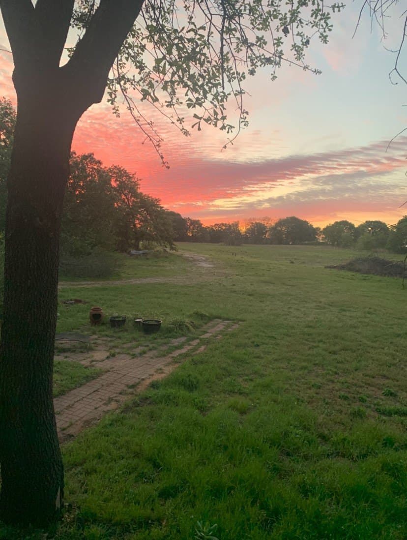 16 acres in Denton County - photo 16