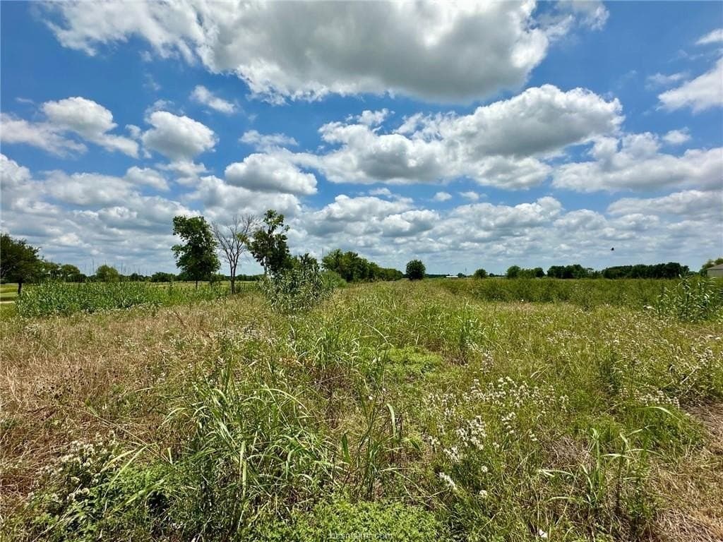 10.02 acres in Grimes County gallery image 2