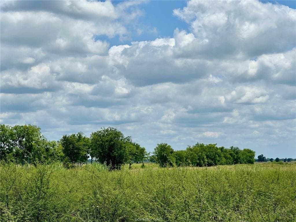 10.02 acres in Grimes County gallery image 3