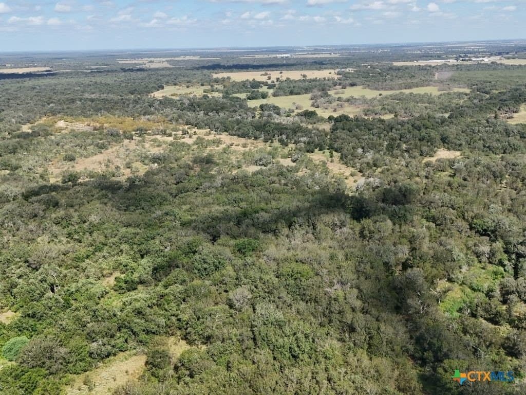 12.2 acres in Gonzales County - photo 11