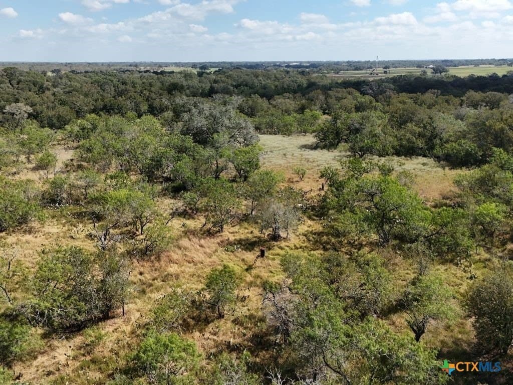 12.2 acres in Gonzales County - photo 16