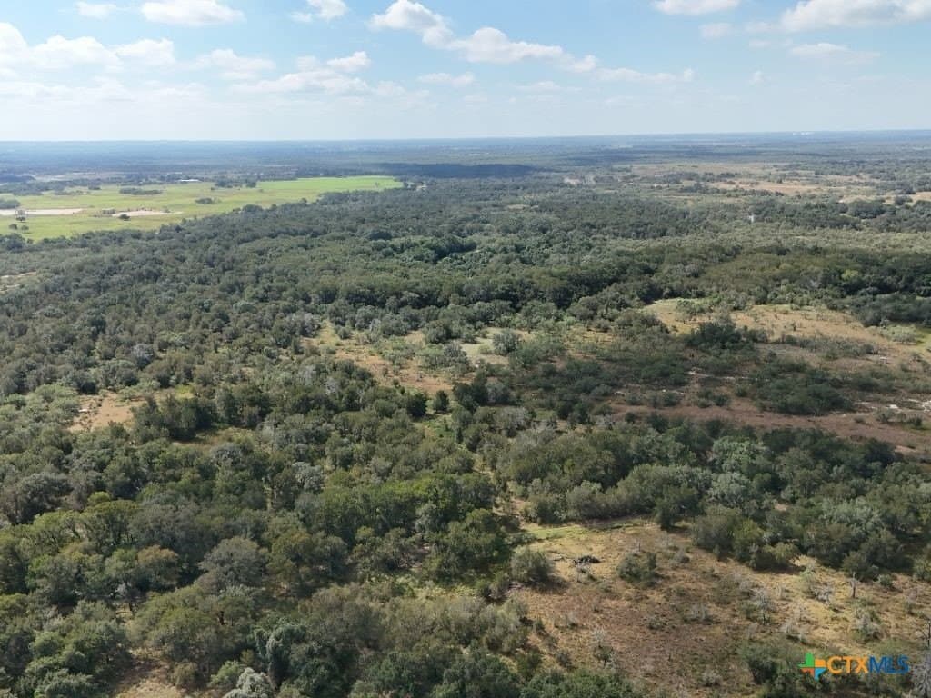 12.2 acres in Gonzales County - photo 20