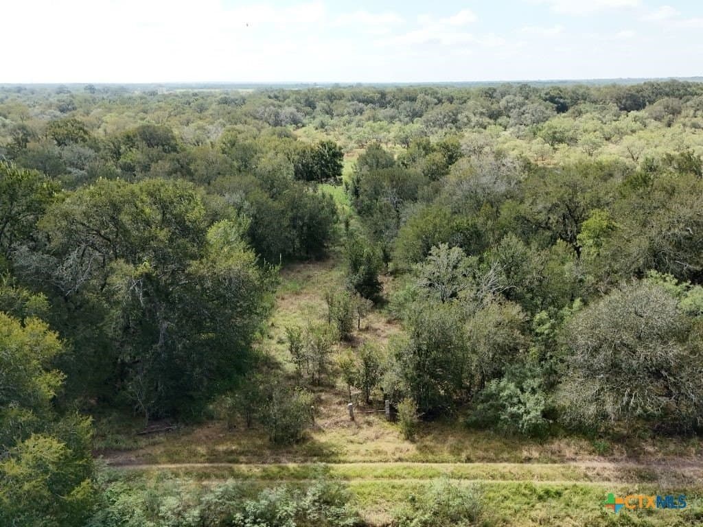 12.2 acres in Gonzales County - photo 4