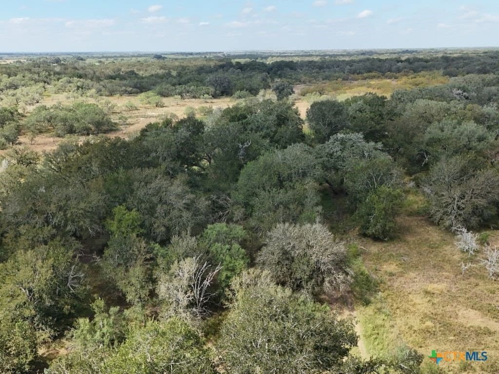 12.2 acres in Gonzales County - photo 17