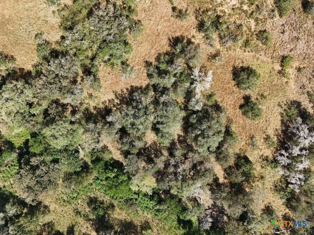 12.2 acres in Gonzales County - photo 13