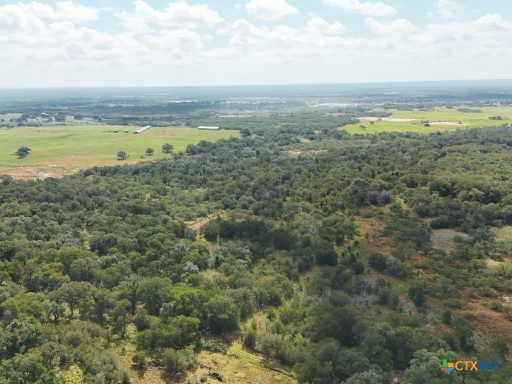 12.2 acres in Gonzales County - photo 9