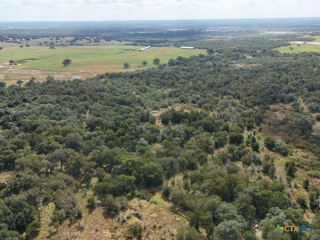 12.2 acres in Gonzales County - photo 8