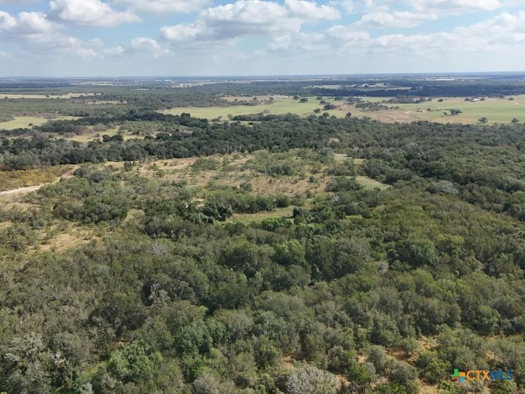 12.2 acres in Gonzales County - photo 10