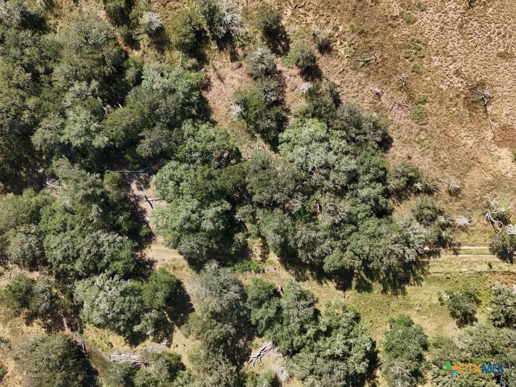 12.2 acres in Gonzales County - photo 15