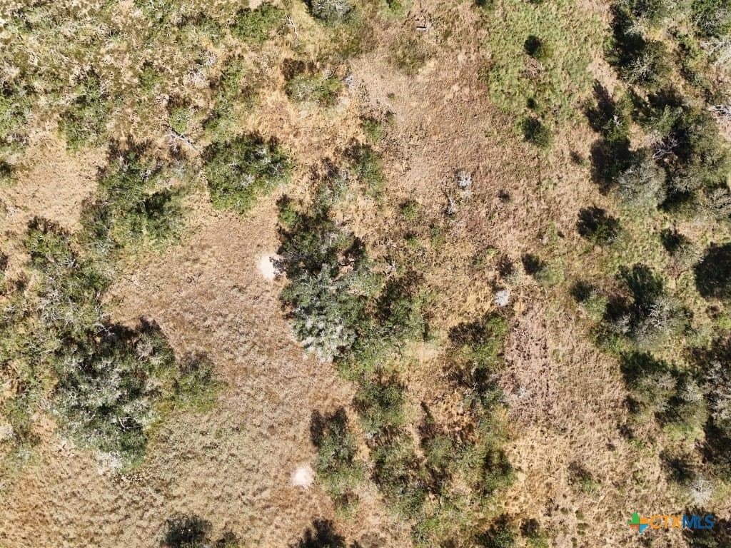12.2 acres in Gonzales County - photo 14