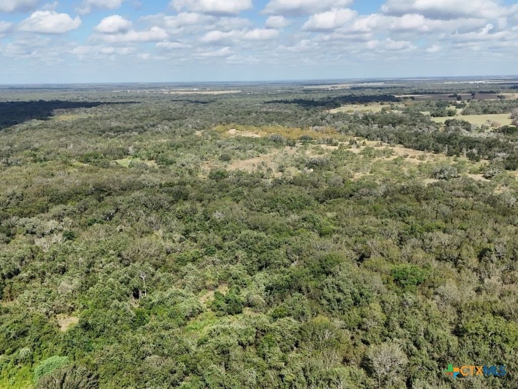 12.2 acres in Gonzales County - photo 18