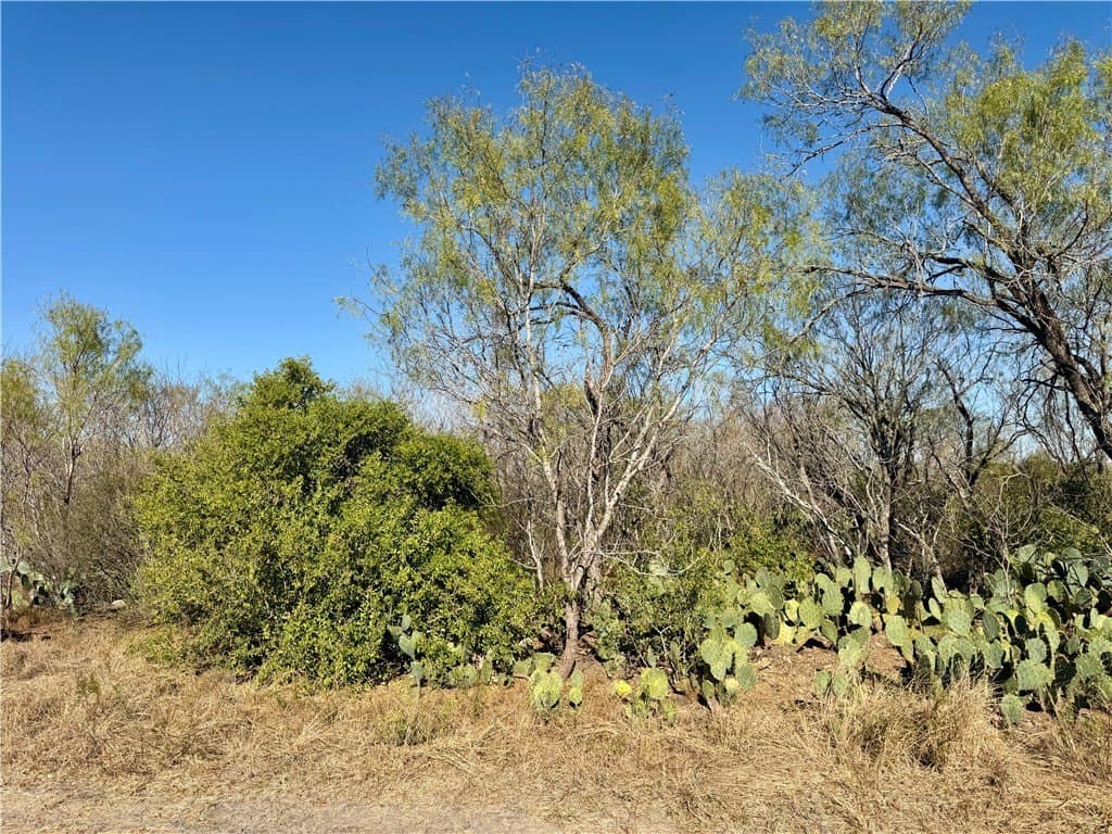 30 acres in Wilson County - photo 13