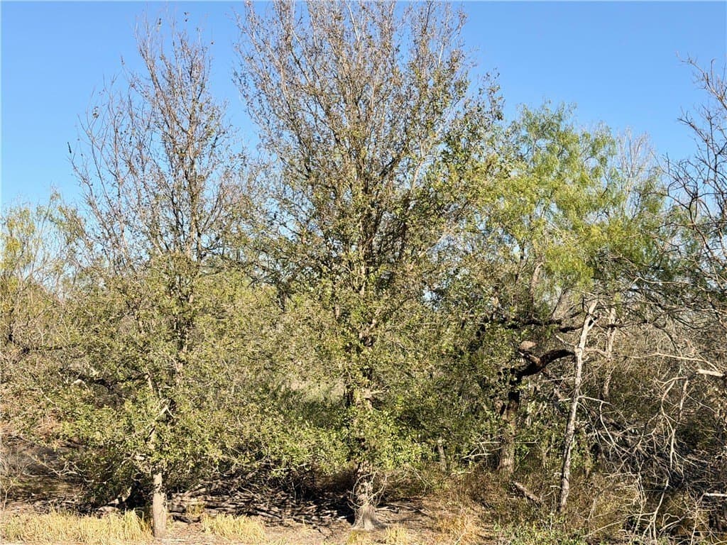 30 acres in Wilson County - photo 31