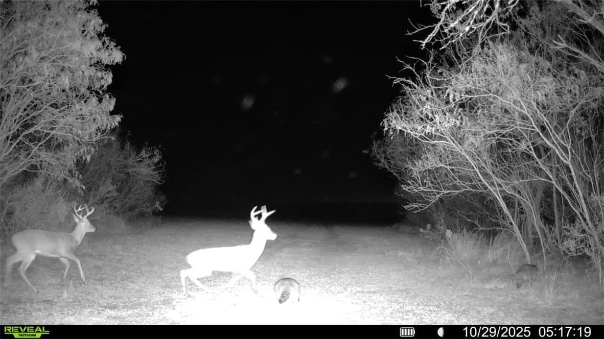 30 acres in Wilson County - photo 32
